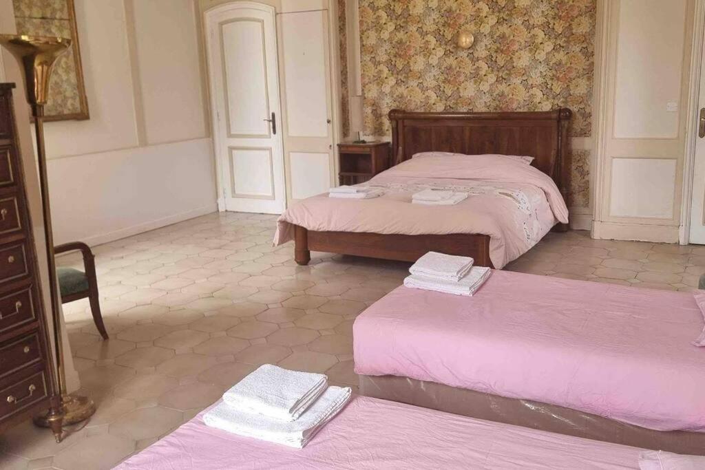 Chateau D'Issandou Golfech Ngoại thất bức ảnh